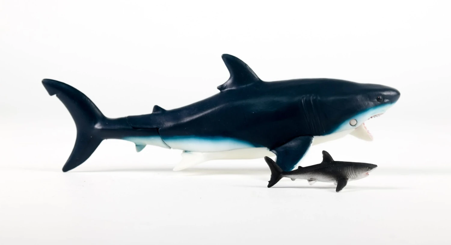 Ania AL-11 Megalodon (Floatable Ver) 2 Ania AL-11 Megalodon (Floatable Ver) - Image 2