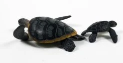 Ania AS-20 Green Sea Turtle 6 Ania AS-20 Green Sea Turtle -Best Toys Shop 137610aniaas 20greenseaturtle 3