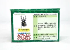 Ania AS-39 Caucasian Wolf -Best Toys Shop 20220720 154306