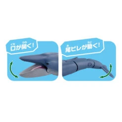 Ania AL-23 Blue Whale (Floating Ver) 9 Ania AL-23 Blue Whale (Floating Ver) -Best Toys Shop 299684 3