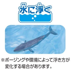 Ania AL-23 Blue Whale (Floating Ver) 10 Ania AL-23 Blue Whale (Floating Ver) -Best Toys Shop 299684 4