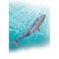 Ania AL-23 Blue Whale (Floating Ver) 12 Ania AL-23 Blue Whale (Floating Ver) -Best Toys Shop 299684 6
