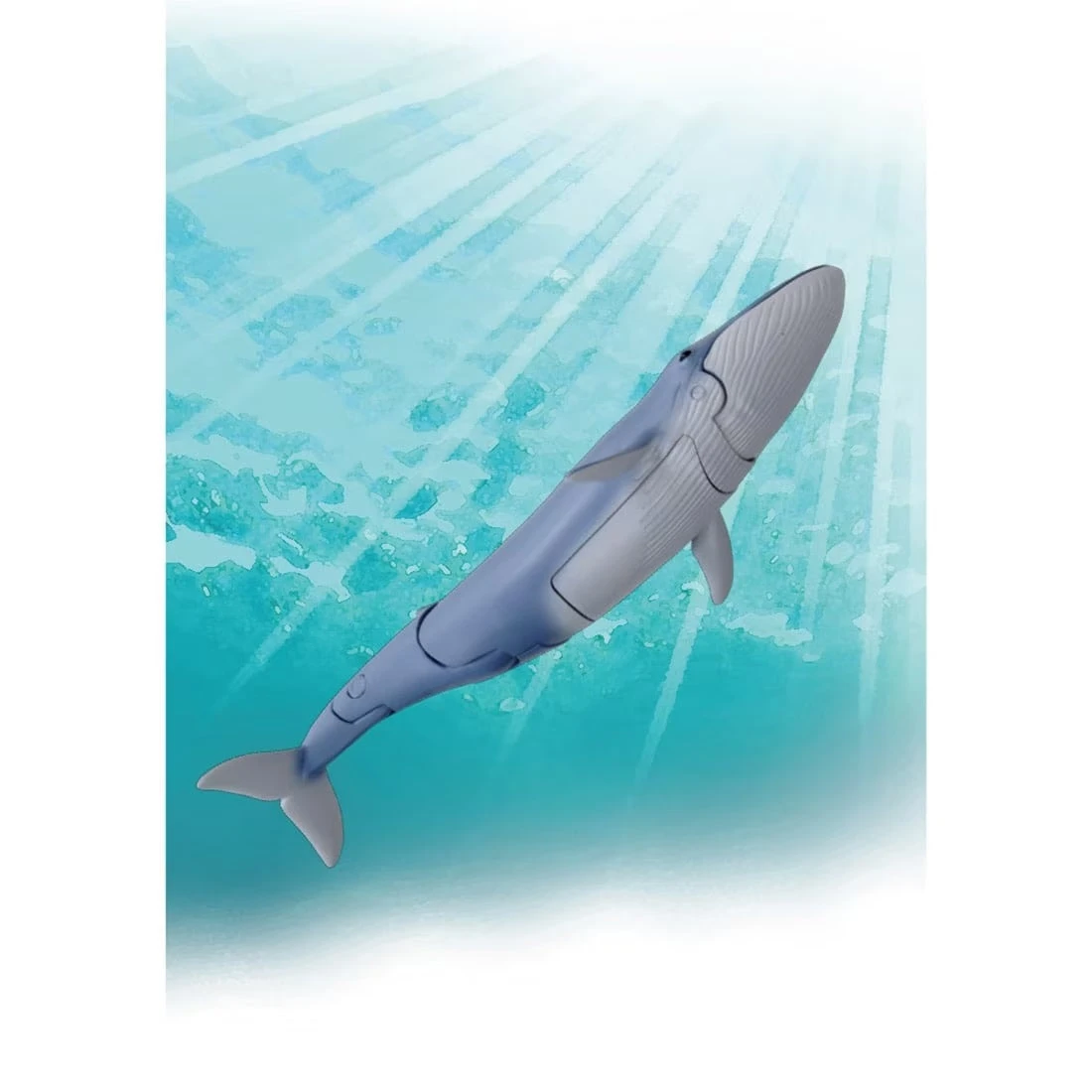 Ania AL-23 Blue Whale (Floating Ver) 6 Ania AL-23 Blue Whale (Floating Ver) - Image 6