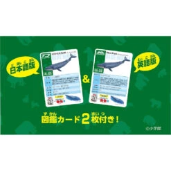 Ania AL-23 Blue Whale (Floating Ver) 13 Ania AL-23 Blue Whale (Floating Ver) -Best Toys Shop 299684 7