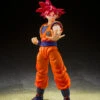 SHF Super Saiyan God Son Goku Saiyan God Of Virute (God Of Instilled With The Light Of Righteous Hearts)