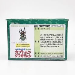 Ania AS-42 Rainbow Beetle -Best Toys Shop 908531 3