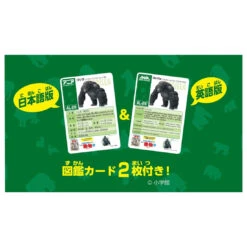 Ania AL-29 Gorilla (Eastern Gorilla) -Best Toys Shop 919353 7