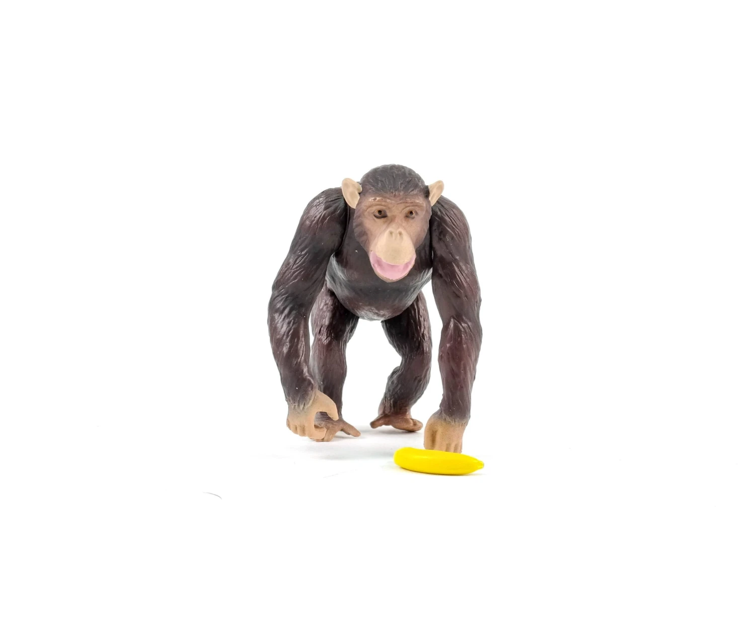 Ania AS-14 Chimpanzee (New) 3 Ania AS-14 Chimpanzee (New) - Image 3