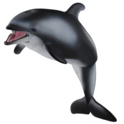 Ania AS-19 Dolphin -Best Toys Shop ania as 19 dolphin 2